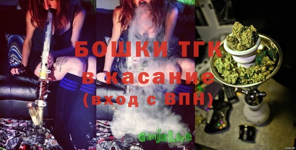 дмт Аркадак