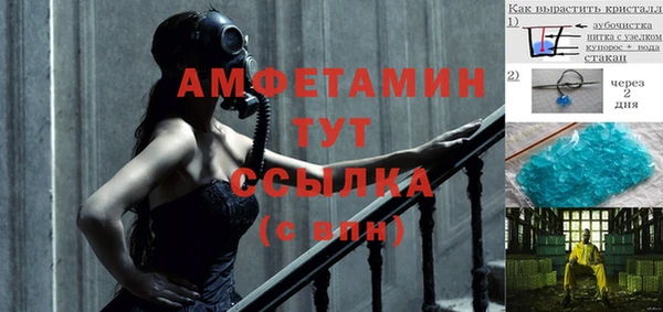 сатива Армянск