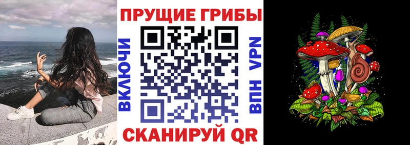 Галлюциногенные грибы Cubensis  мега онион  Белово 